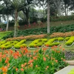 Menghirup Kesegaran Alam di Taman Rekreasi Selecta: Destinasi Liburan yang Menyenangkan