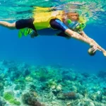 Menyaksikan Kekayaan Bawah Laut Indonesia dengan Snorkeling di Nusa Lembongan